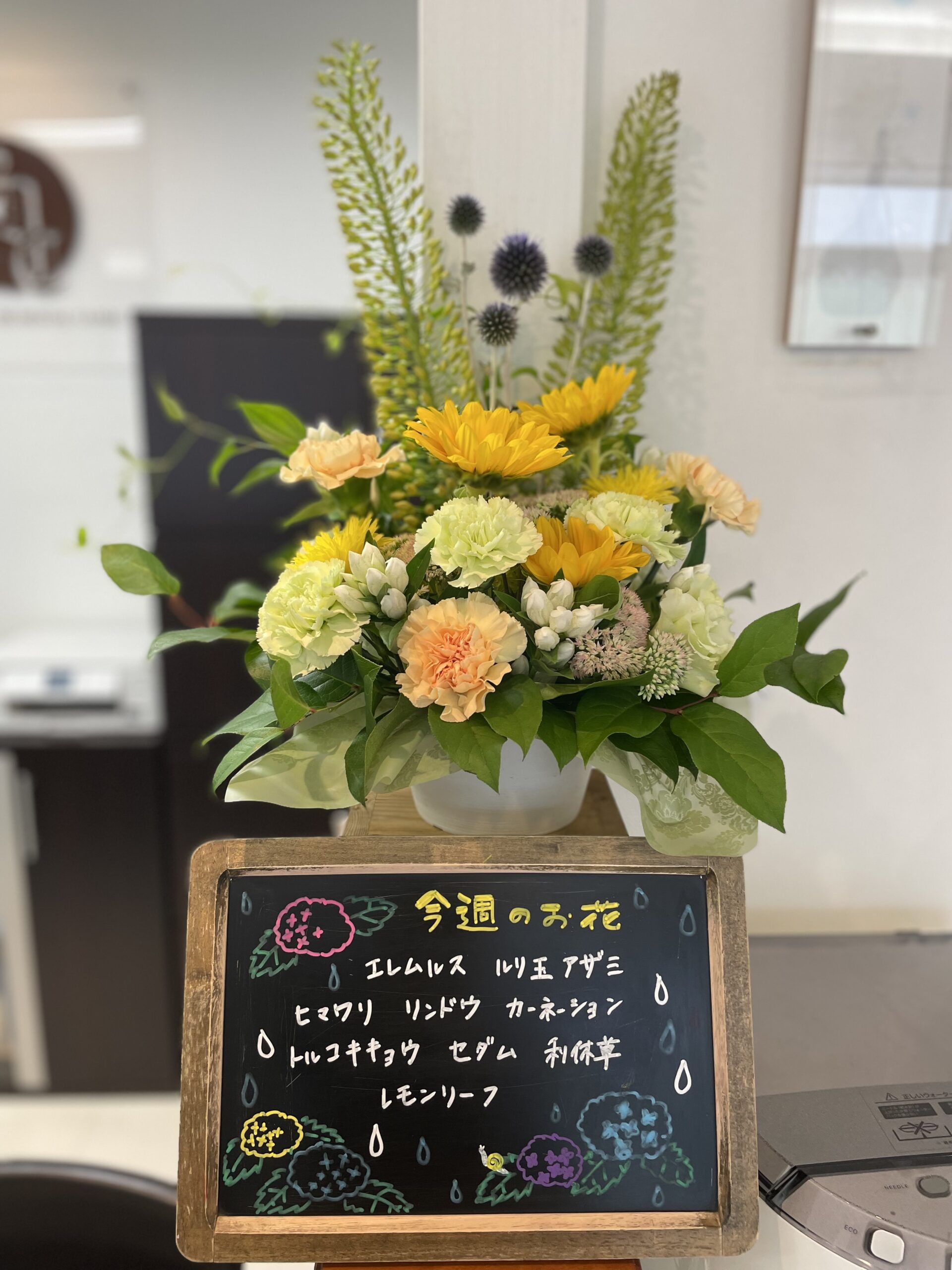 今週(６月24日〜)のお花