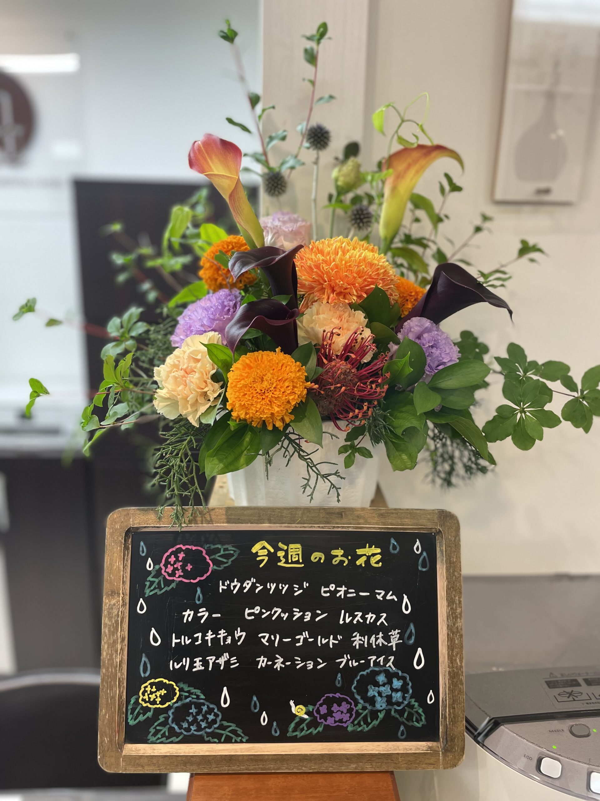 今週(７月１日〜)のお花
